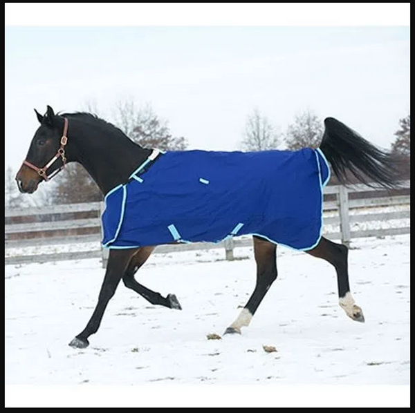 Canadian Horsewear Constellation Turnout 300gm - 81 Left